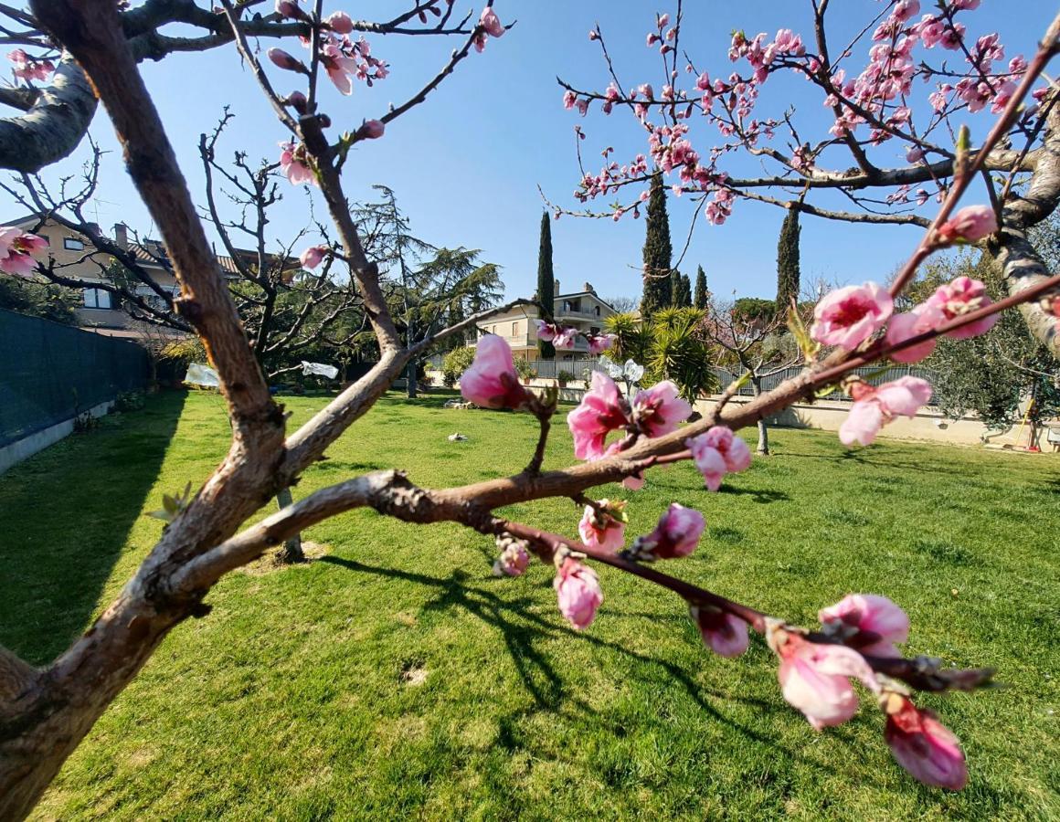 Vila Itaca Lido di Fermo Exteriér fotografie